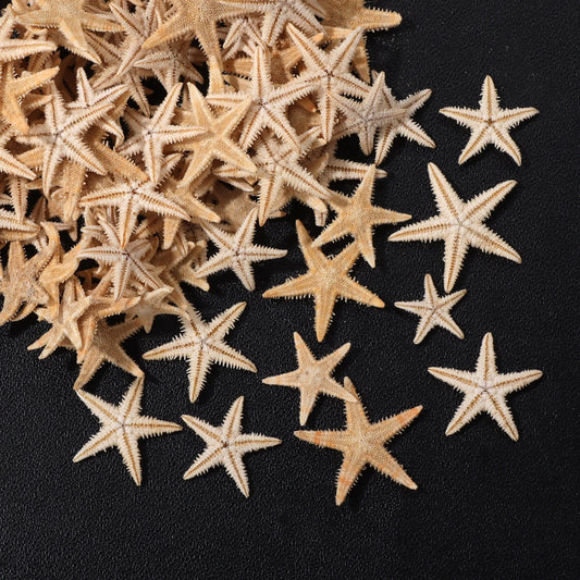 Natural Starfish Colorful Dyed Seashell Starfish Accessories Home Decoration Star Marine Wedding Craft 5G Appr.100pcs 8-26MM