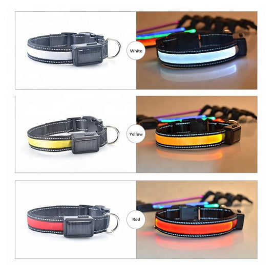 USB and Solar Charge Reflective Led Dog Collar