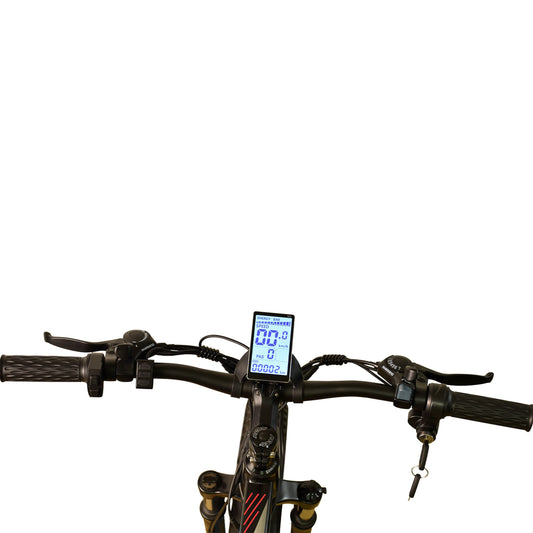 Ebike,1000W Motor,48V13Ah Battery,26 Inches,Maximum Speed 45KM