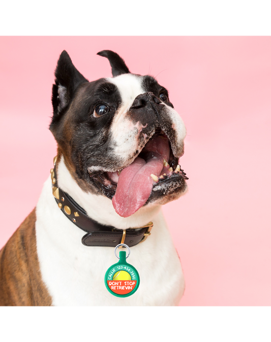 Don’t Stop Retrievin’ Ecoplastic Pet ID Tag- Choose from many colors.